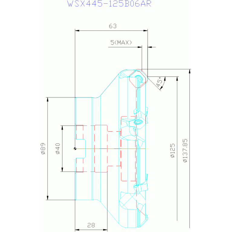 WSX445-125B06AR