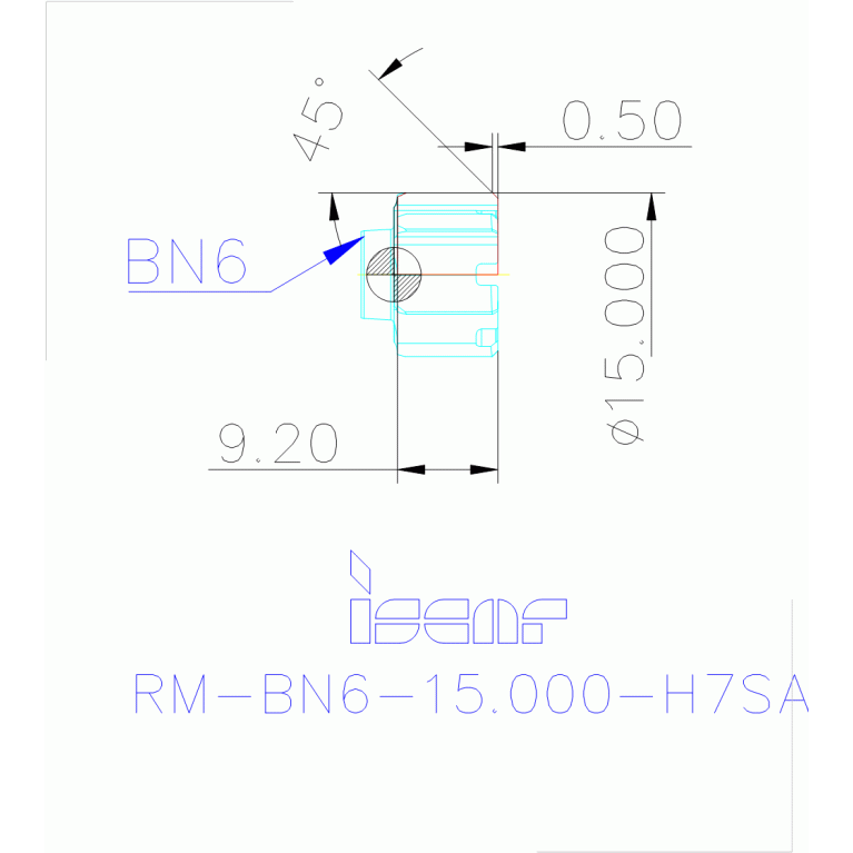 RM-BN6-15.000-H7SA IC08