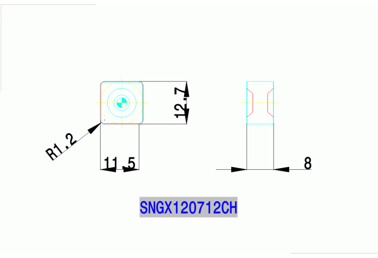 SNGX 120712 CH AS10
