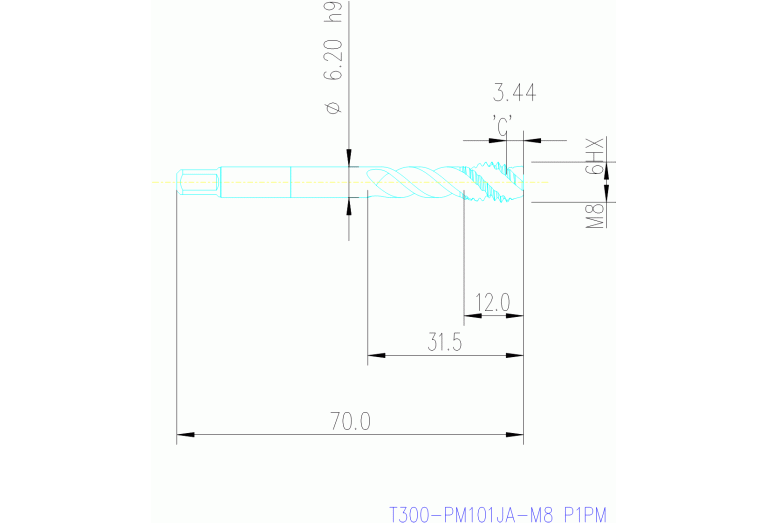 T300-PM101JA-M8 P1PM