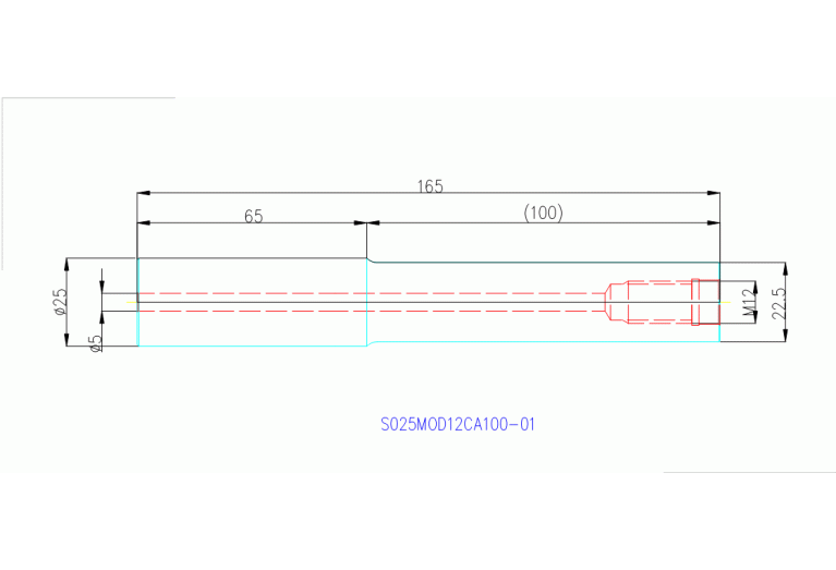 S025MOD12CA100