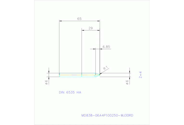 MD838-06A4P100250-WJ30RD