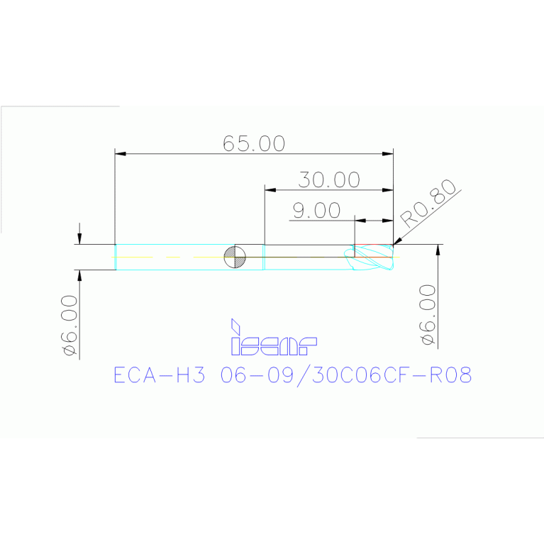 ECA-H3 06-09/30C06CF-R08 IC08