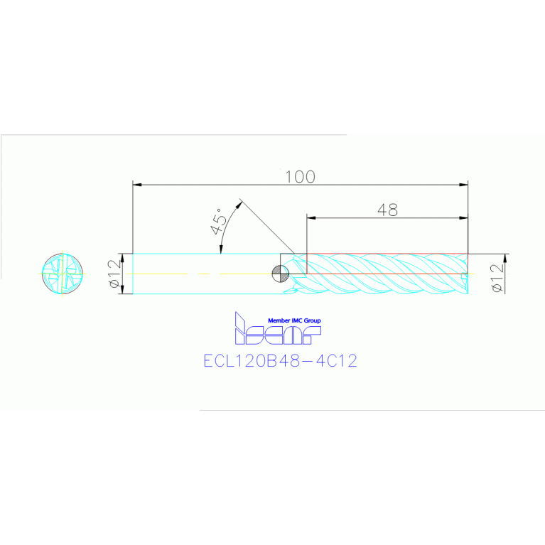 ECL120B48-4C12 IC900