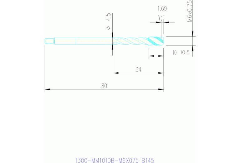 T300-MM101DB-M6X075 B145