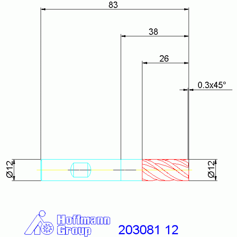 203081 12