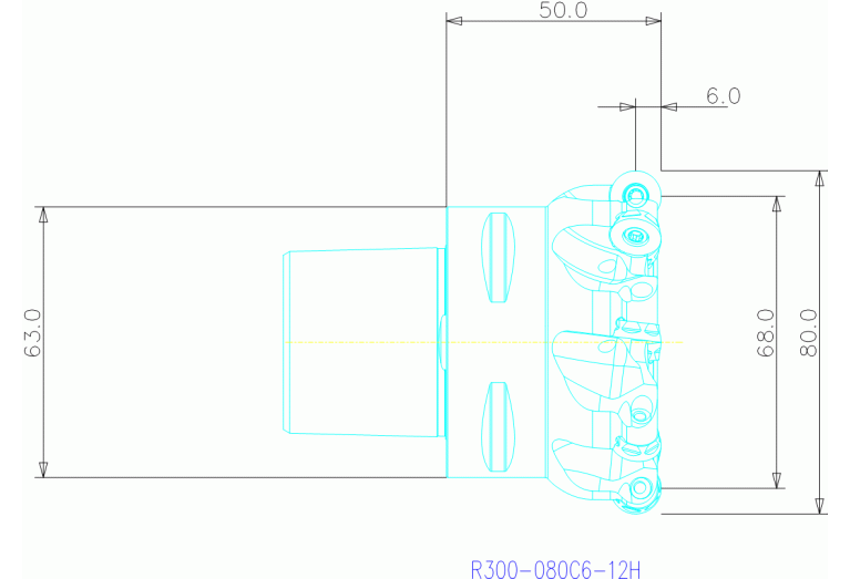 R300-080C6-12H