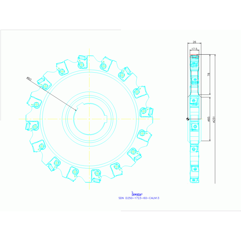SDN D250-1723-60-CALN13