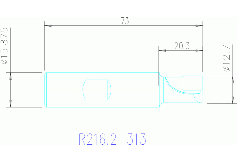 R216.2-313