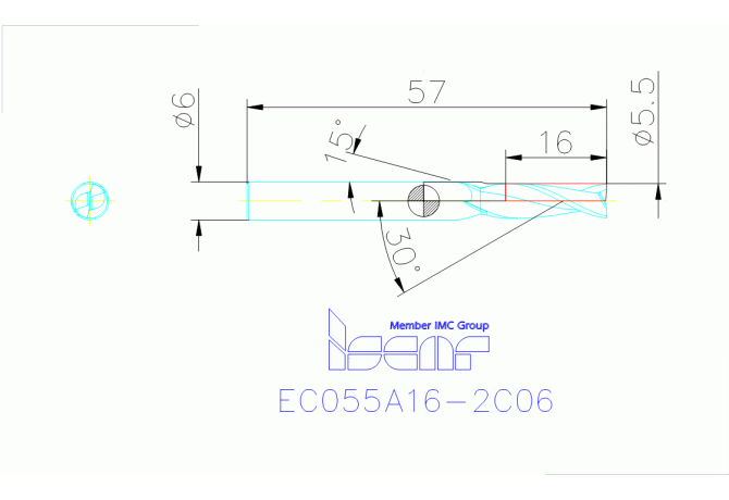 EC055A16-2C06 IC300