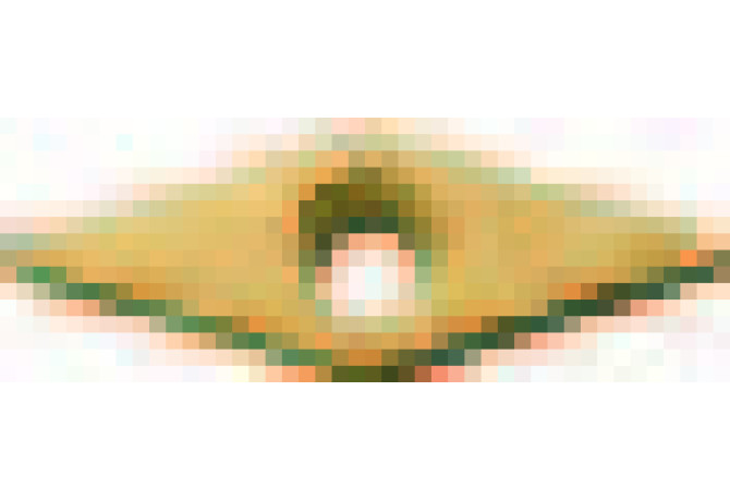 VBET110301ML-F PV730