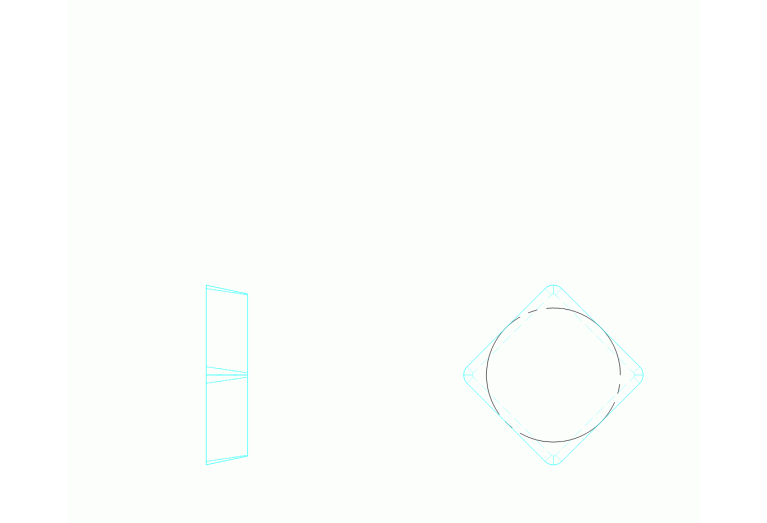 50450206