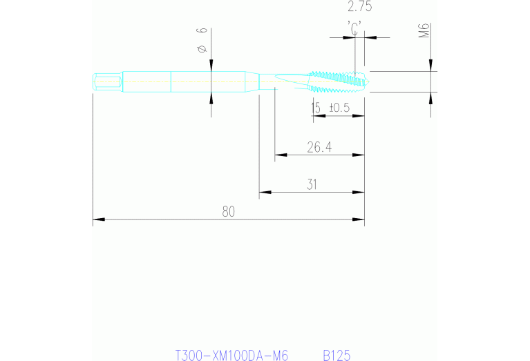 T300-XM100DA-M6 B125