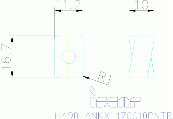 H490 ANKX 170610PNTR IC928