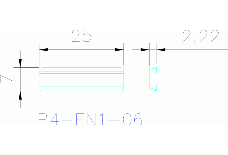 P4-EN1-06 CP20