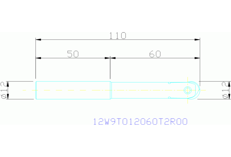 12W9T012060T2R00