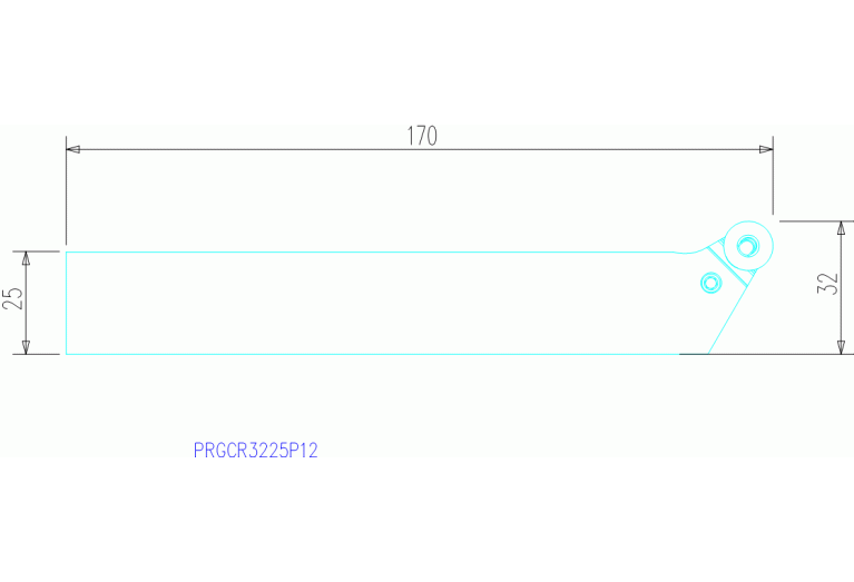 PRGCR3225P12
