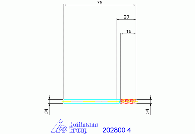 202800 4