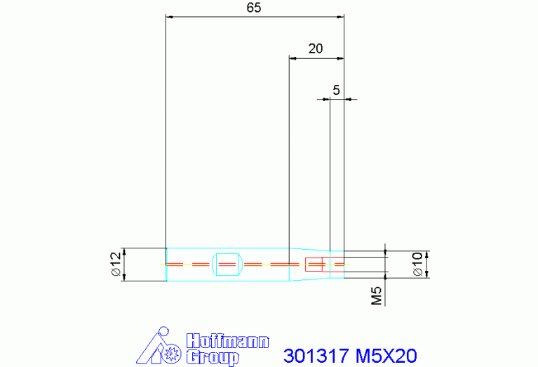 301317 M5X20
