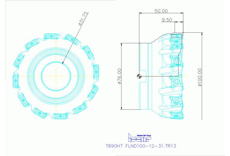 T890HT FLND100-12-31.7R13