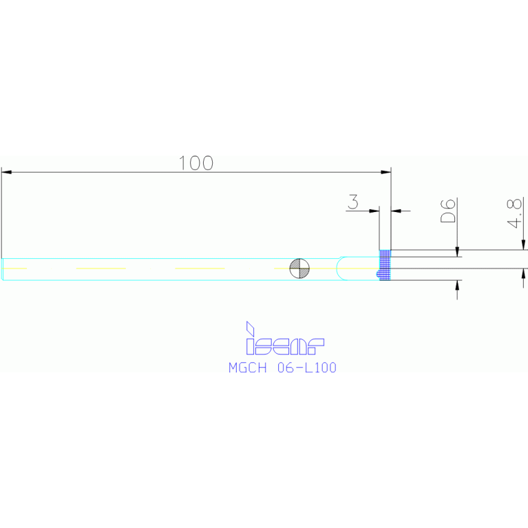 MGCH 06-L100