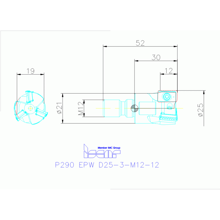 P290 EPW D25-3-M12-12