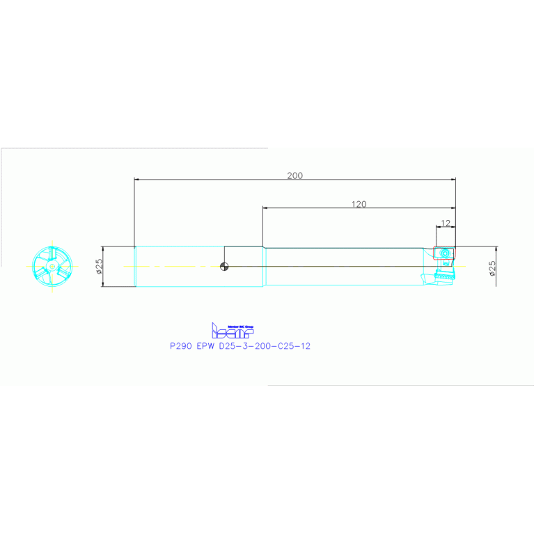 P290 EPW D25-3-200-C25-12