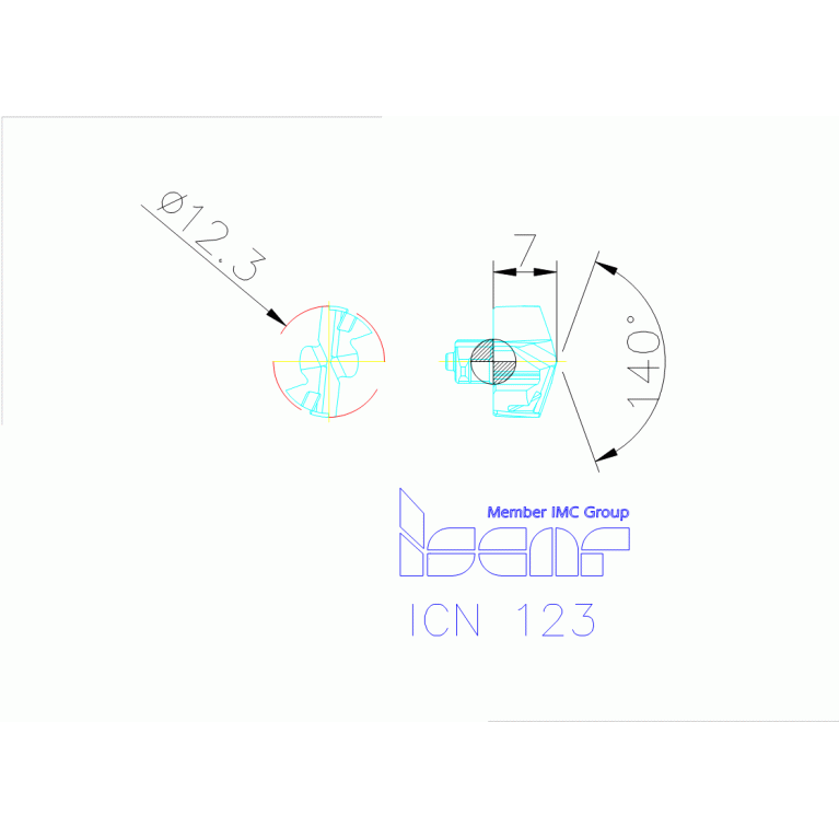 ICN 123 IC08