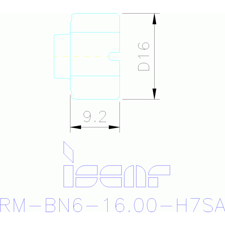 RM-BN6-16.000-H7SA IC08