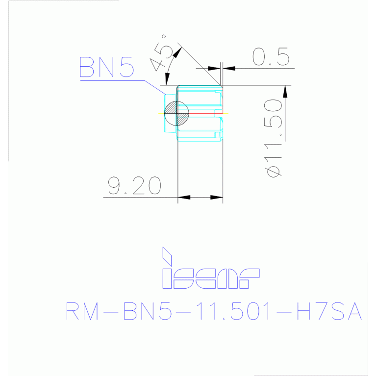 RM-BN5-11.501-H7SA IC08