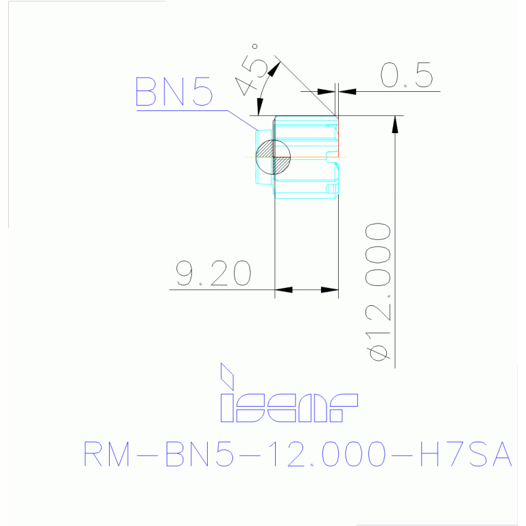 RM-BN5-12.000-H7SA IC908
