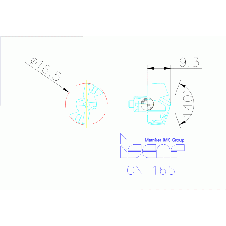 ICN 165 IC08