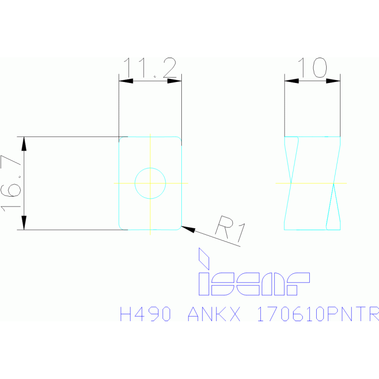 H490 ANKX 170610PNTR IC928