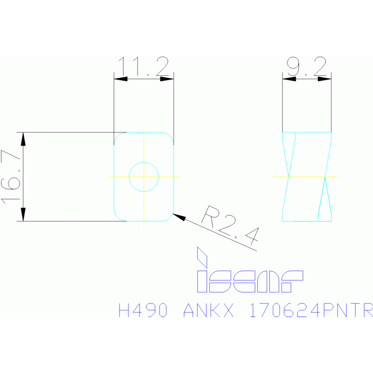 H490 ANKX 170624PNTR IC928
