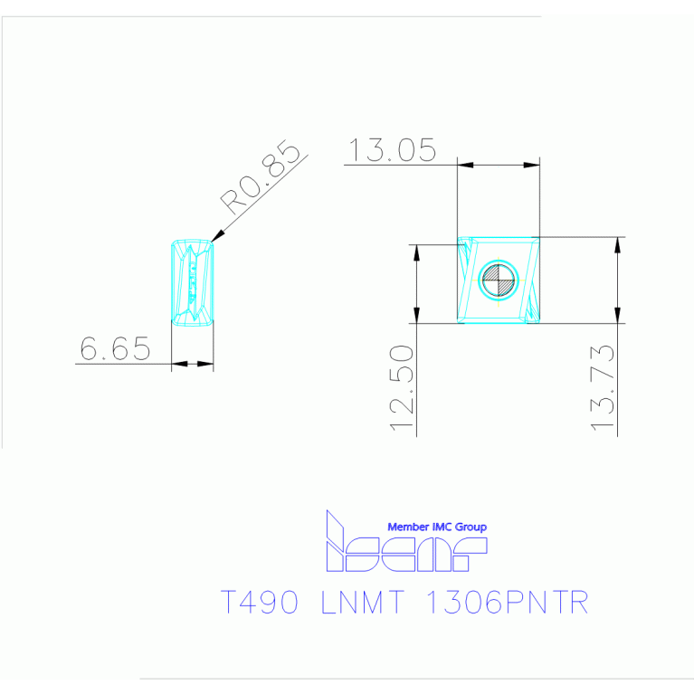 T490 LNMT 1306PNTR IC5100
