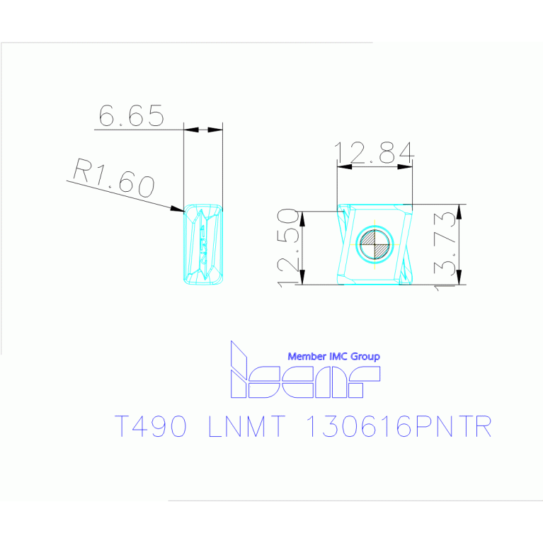 T490 LNMT 130616PNTR IC830