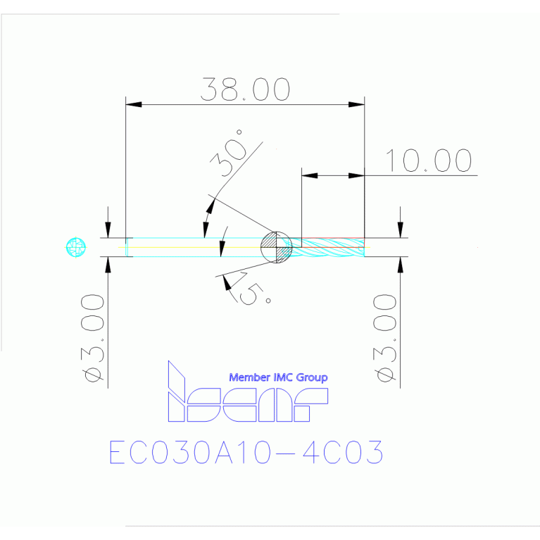 EC030A10-4C03 IC300