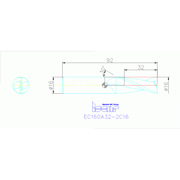 EC160A32-2C16 IC300