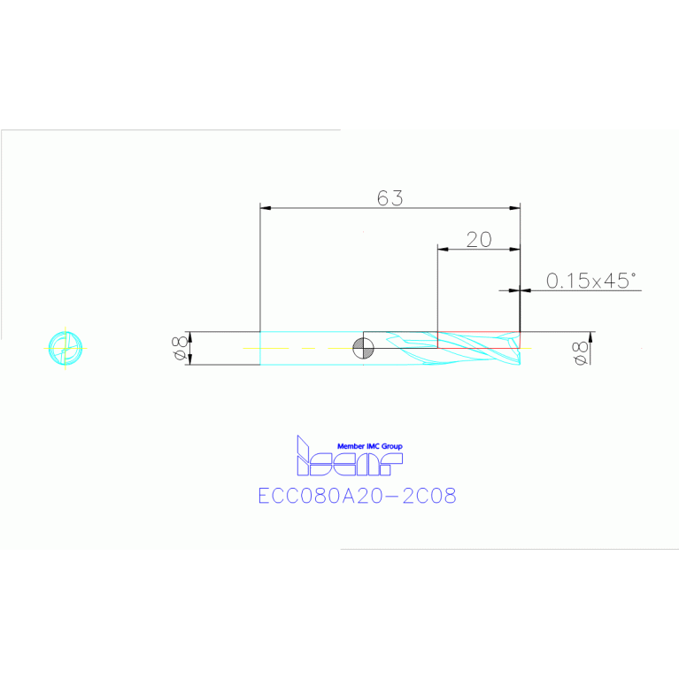 ECC080A20-2C08 IC300