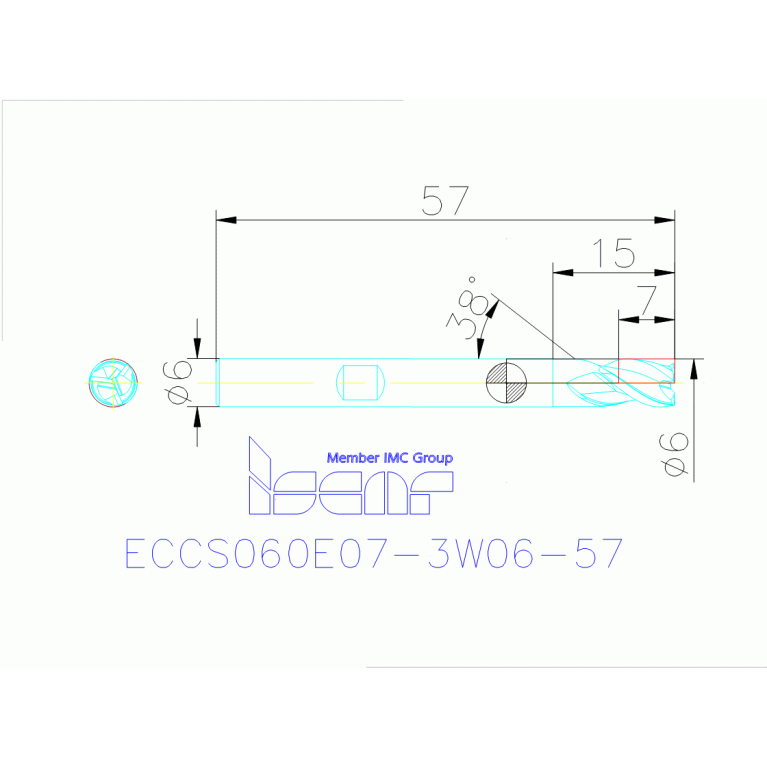 ECCS060E07-3W06-57 IC900