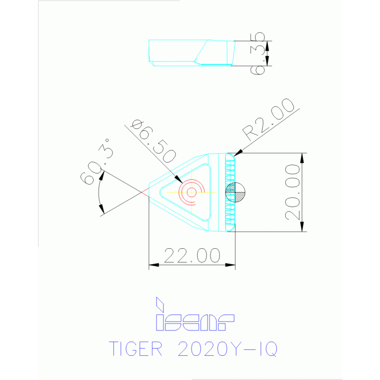 TIGER 2020Y-IQ IC808