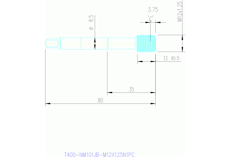 T400-NM101JB-M12X125N1PC