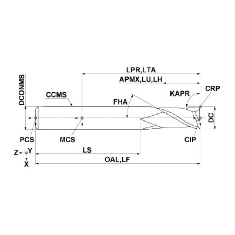 MS2SSD0800