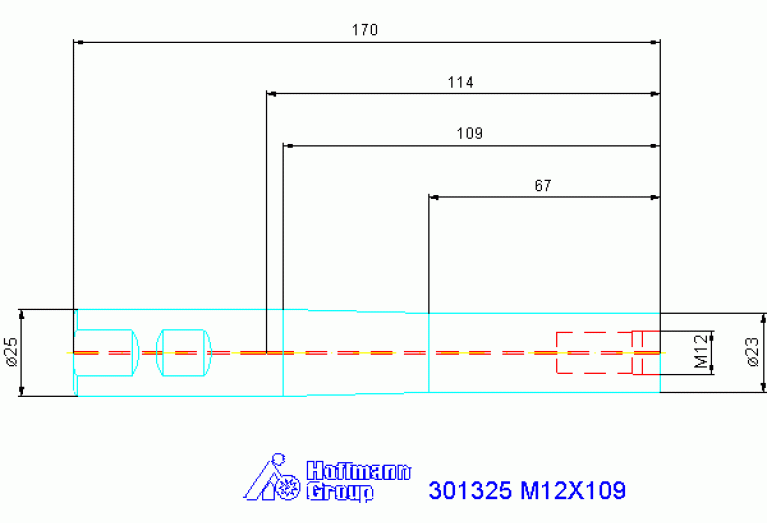 301325 M12X109