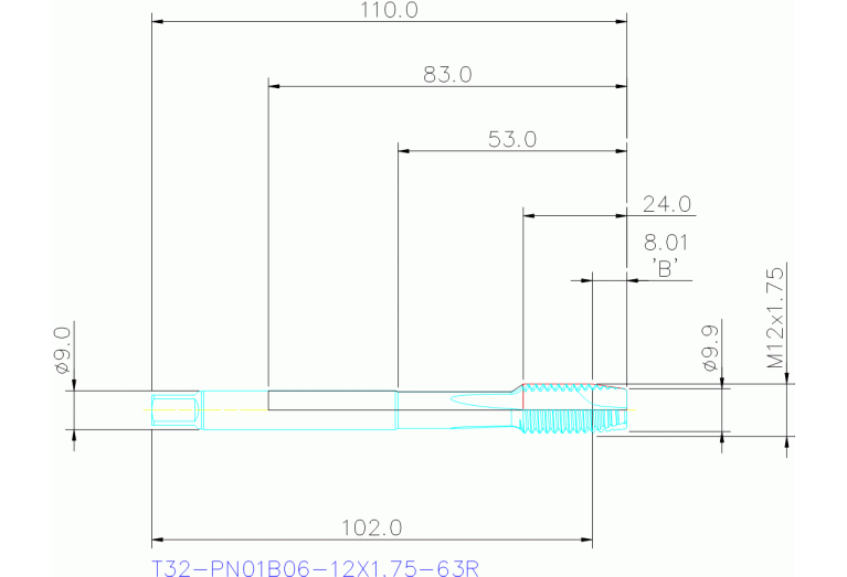 T32-PN01B06-12X1.75-63R