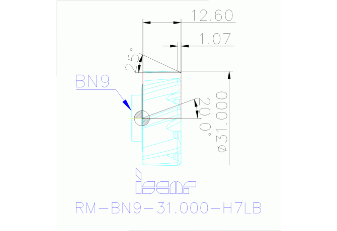 RM-BN9-31.000-H7LB IC908