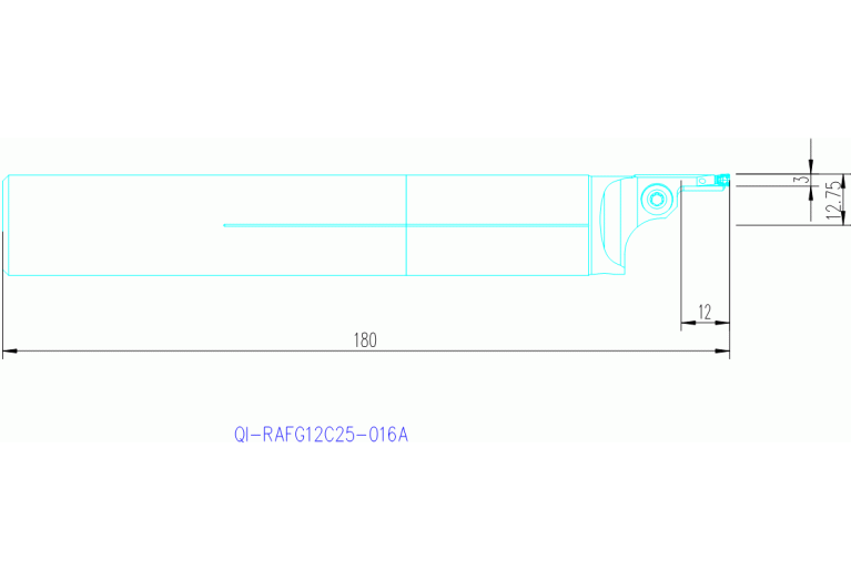 QI-RAFG12C25-016A