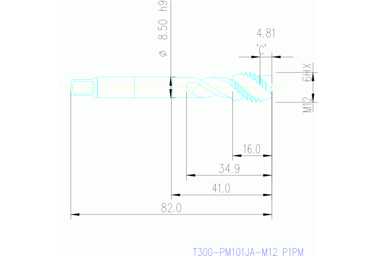 T300-PM101JA-M12 P1PM