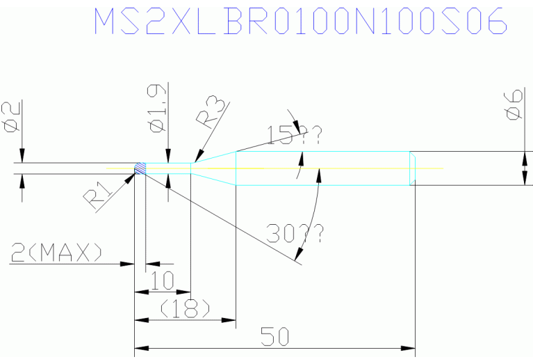 MS2XLBR0100N100S06