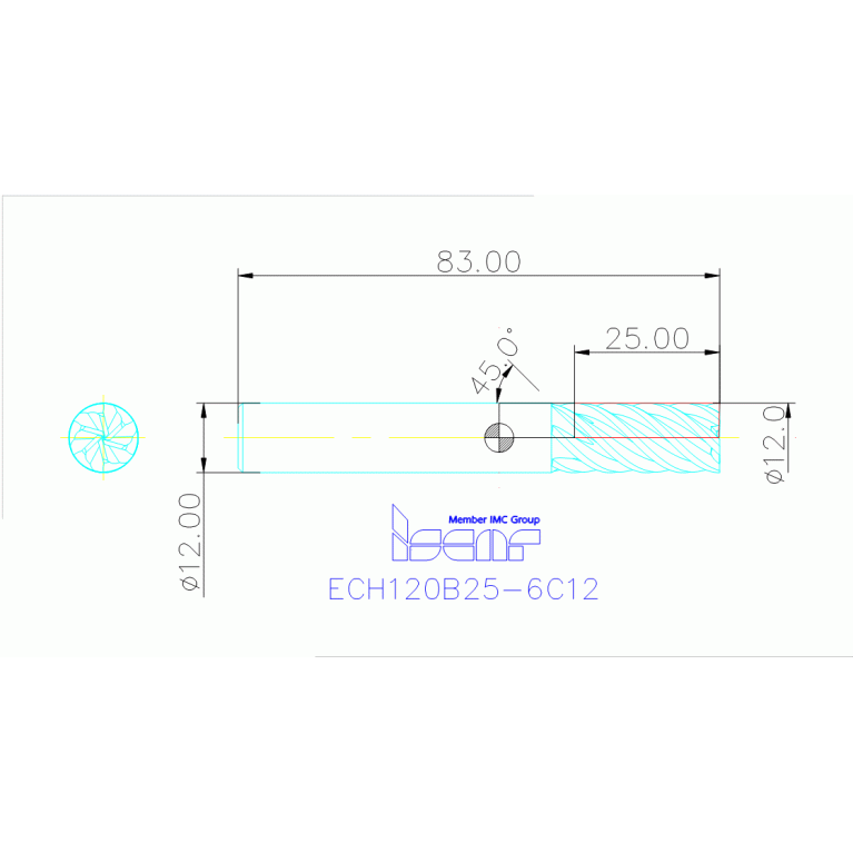 ECH120B25-6C12 IC900
